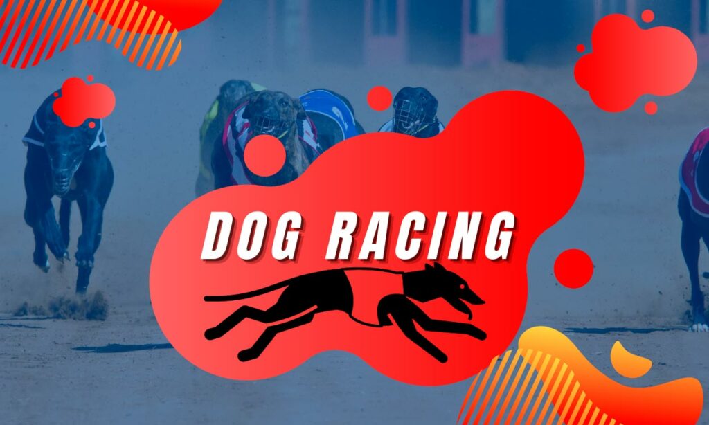 Dog racing betting sites